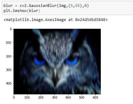 Gaussian Blurred Owl Image
