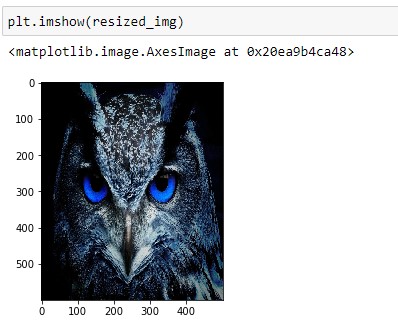 Resized Image of 600x500 dimension