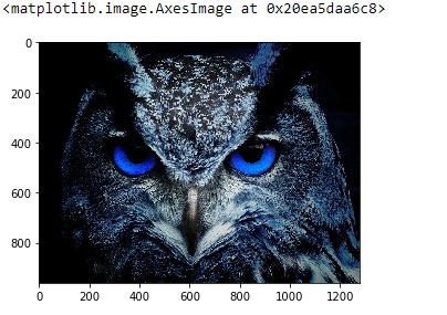 Sample image for implementing cv2 resize