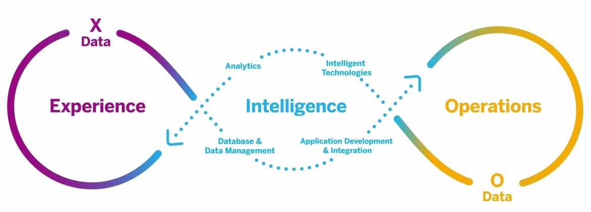 sap process
