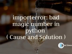 importerror_ bad magic number in python ( Cause and Solution )