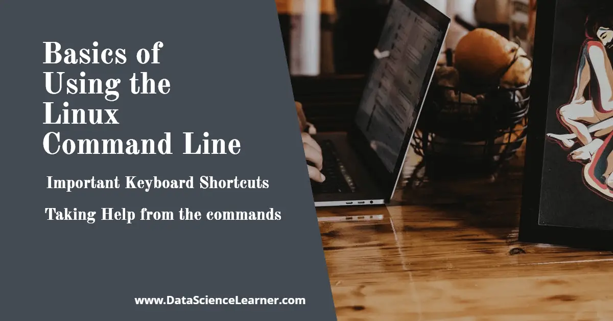 Basics of Using the Linux Command Line