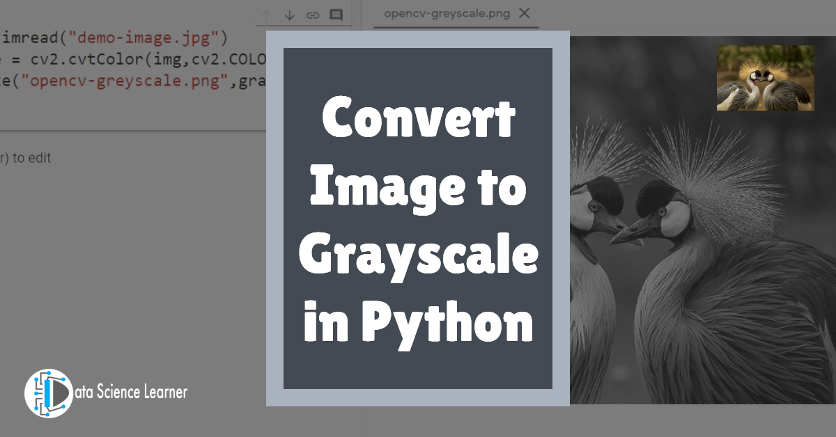 Convert Image to Grayscale in Python