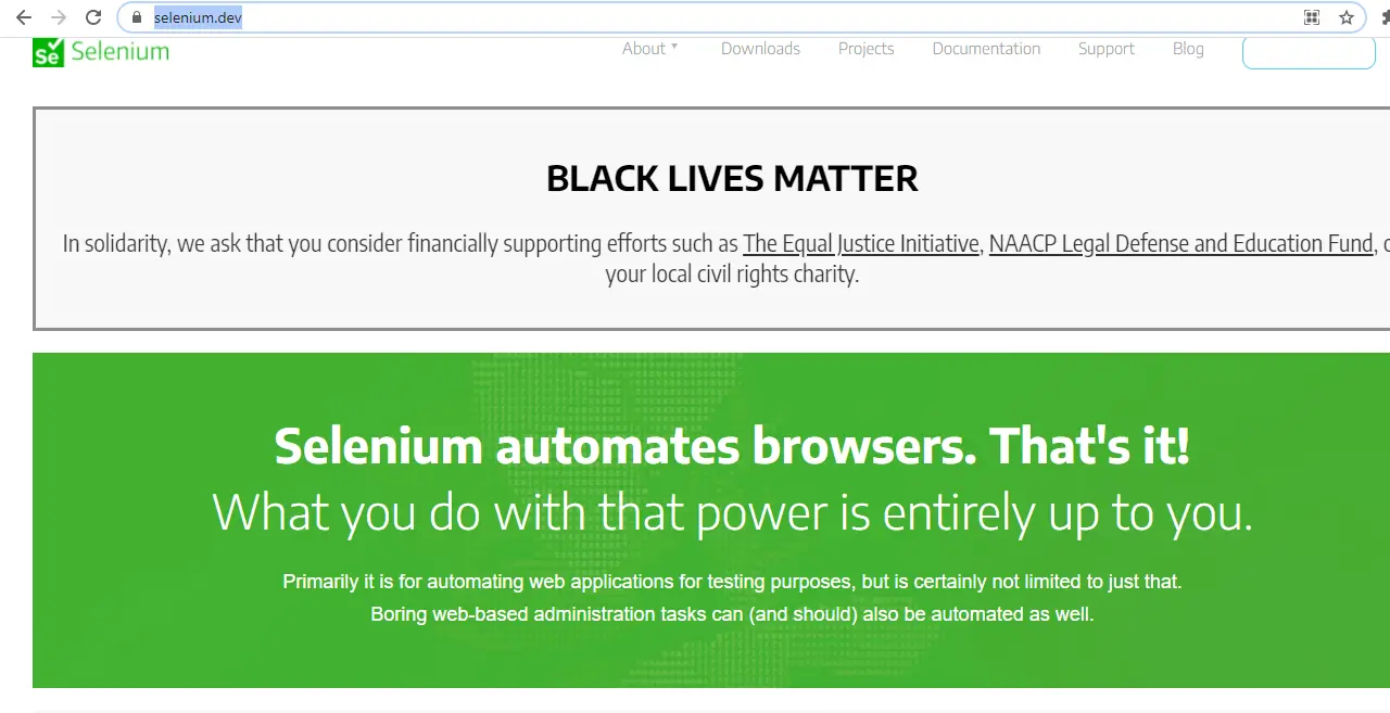 Importerror no module named selenium