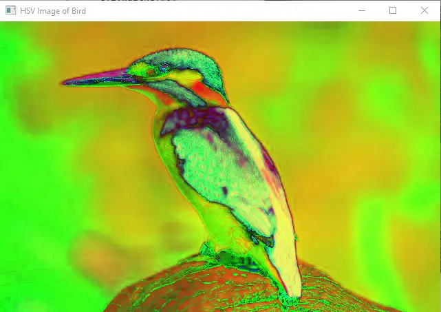 HSV image of a bird