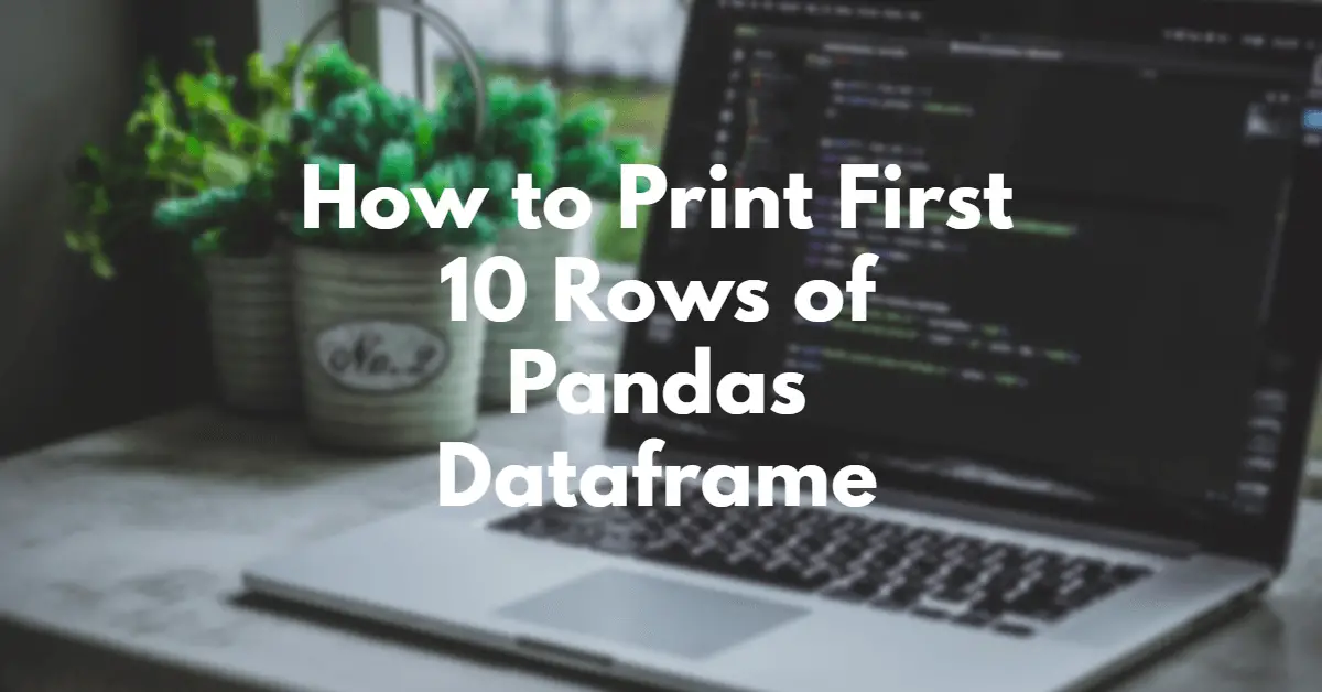 How to Print First 10 Rows of Pandas Dataframe