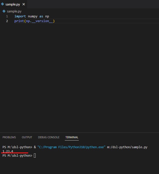 Checking numpy version in vsc